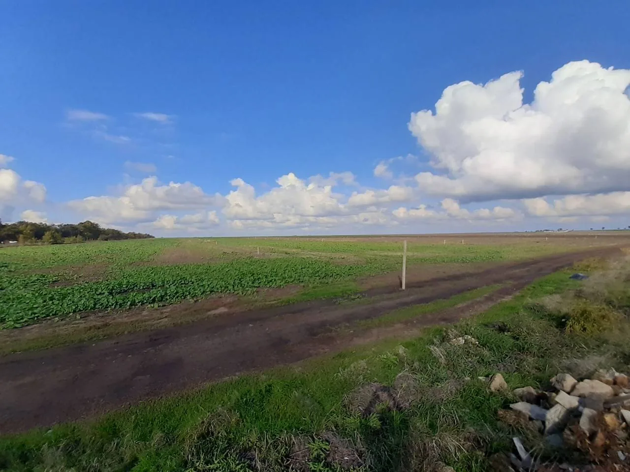 Будинок і двір