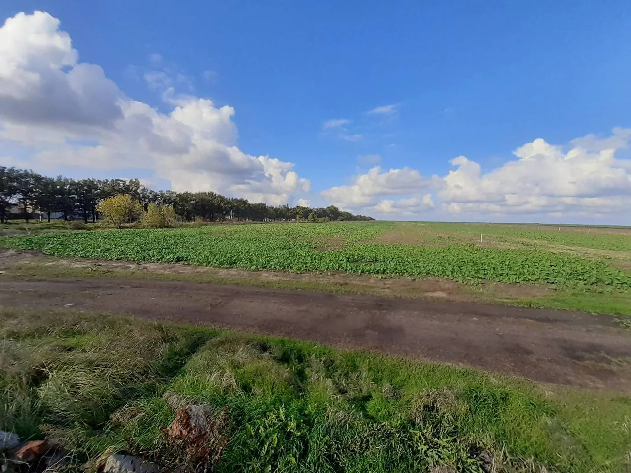 Дороги поселення