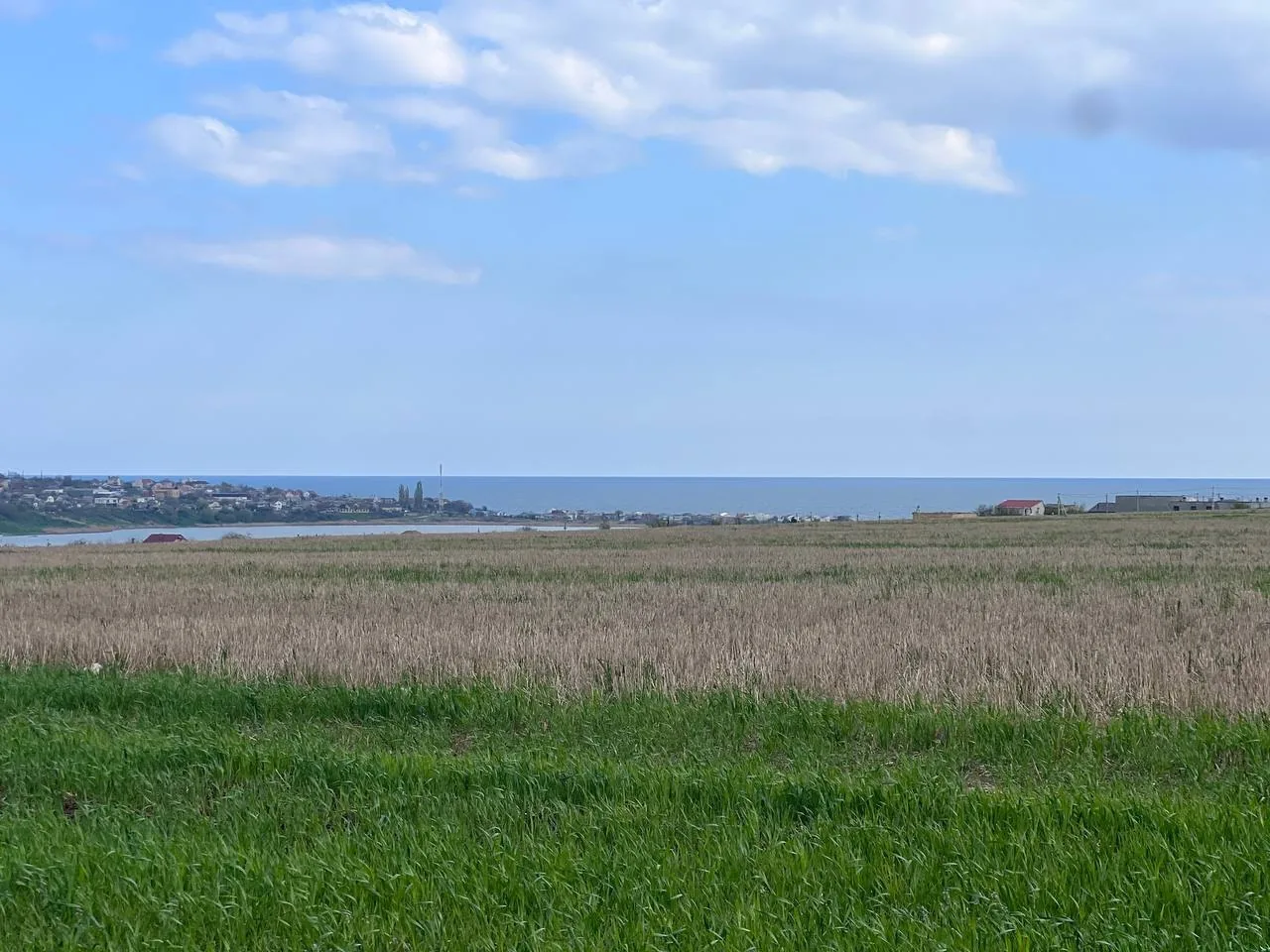 Дороги поселення